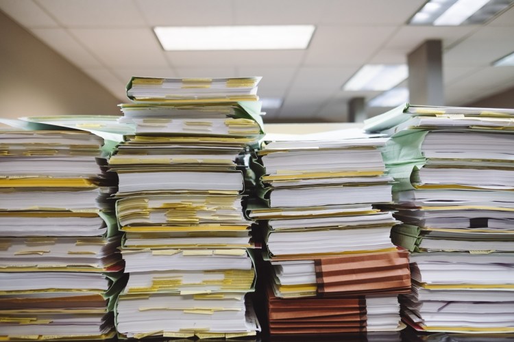How Does Bureaucracy Affect Procurement?